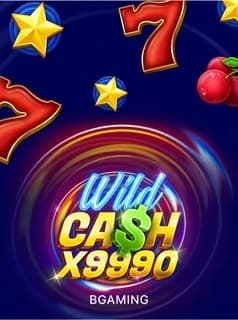 Обложка слота Wild Cash X9990